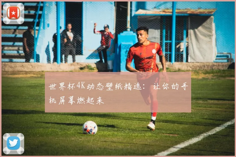 世界杯4K动态壁纸精选:让你的手机屏幕燃起来
