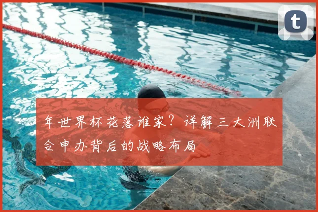 年世界杯花落谁家？详解三大洲联合申办背后的战略布局