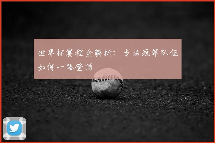 世界杯赛程全解析：专访冠军队伍如何一路登顶