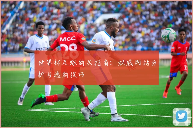 世界杯足球购买指南:权威网站分析与选购技巧